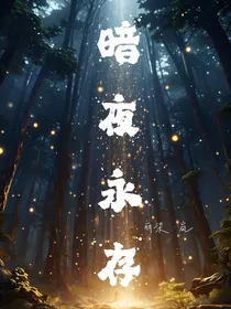暗夜与永存