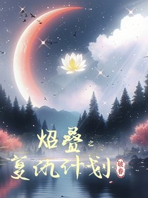 炤叠之复仇计划