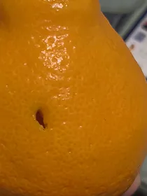 末日美食主播