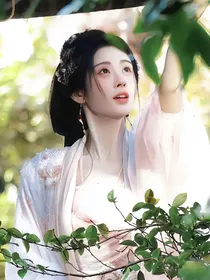蓝曦臣：夏如曦梦