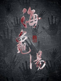 海龟汤系统