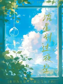 喜灰之流星划过夜空