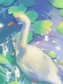 云清大陆