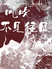 赛尔号：风吹不见往日