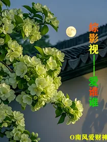 综影视：爱谁谁