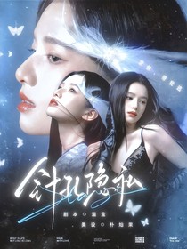 宋亚轩：针孔隐私