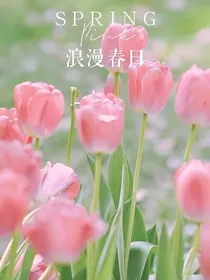 十二星座之神秘之战