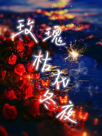 玫瑰枯在冬夜