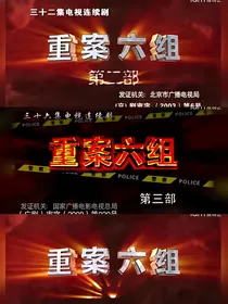 重案六组改编