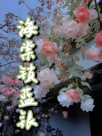 海棠锁蓝银