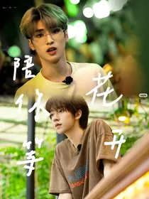 陪你等花开
