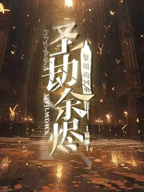 圣劫余烬：黎明的回响