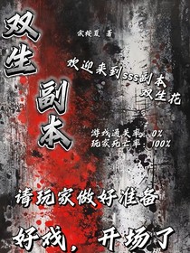 双生副本
