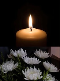 思念依依