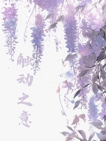 触动之意