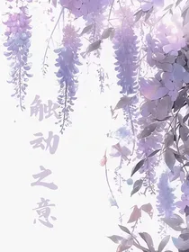 触动之意