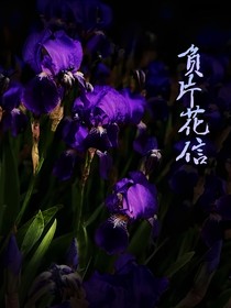 负片花信