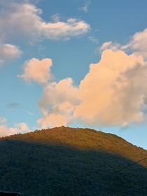 一缕拂阳