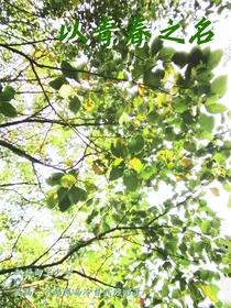 以青春之名……