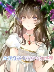 当我穿越到守护甜心的世界