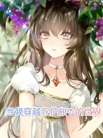 当我穿越到守护甜心的世界