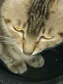 向风而行第二部续