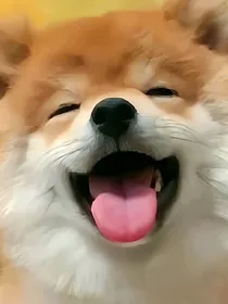 快穿之为毛又失忆了