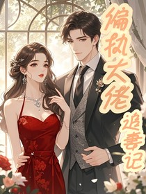 偏执大佬追妻记