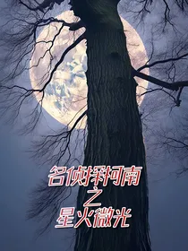 名侦探柯南之星火微光