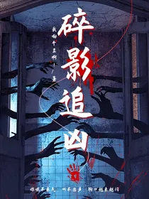 碎影追凶
