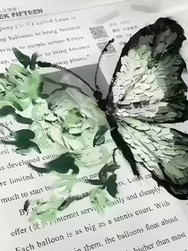 他竟然是我们的大哥