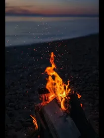 究惑：暗夜追光