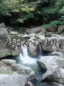 陈情令之湛凝