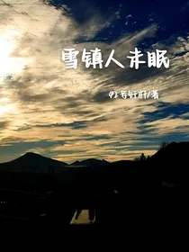 雪镇人未眠