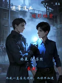迷雾追凶：暗影档案
