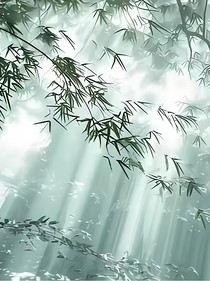 庆：从风中来