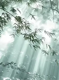 庆：从风中来