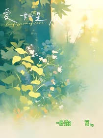 爱如星辰（逆袭）
