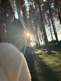 等风亦等她