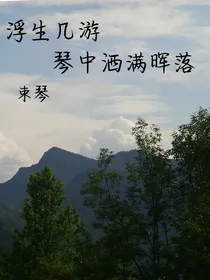 凹凸世界：浮生几游琴中洒满晖落