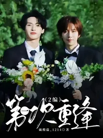 第一次重逢（2编）