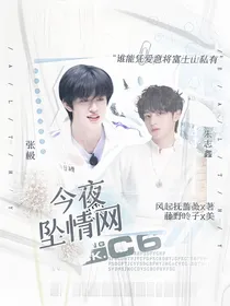 TF三代：今夜坠情网