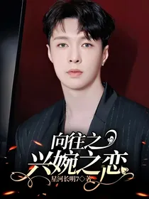 向往之兴婉之恋