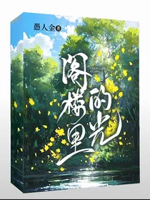 阁楼里的光