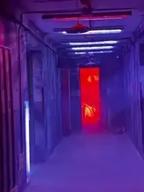 给我活下去的