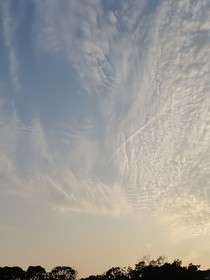 梦，事件记录