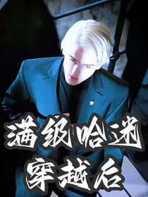 满级哈迷穿越后