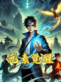元素觉醒：光明之塔的守护者