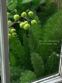 雨日遇