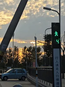 心跳协警